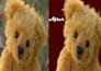 remove background from image, clipping path, photoshop edit
